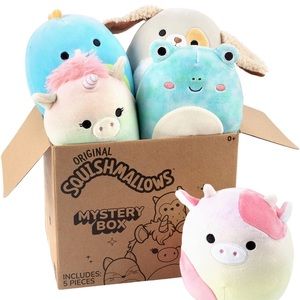 Squishmallows 5" Plush Mystery Box